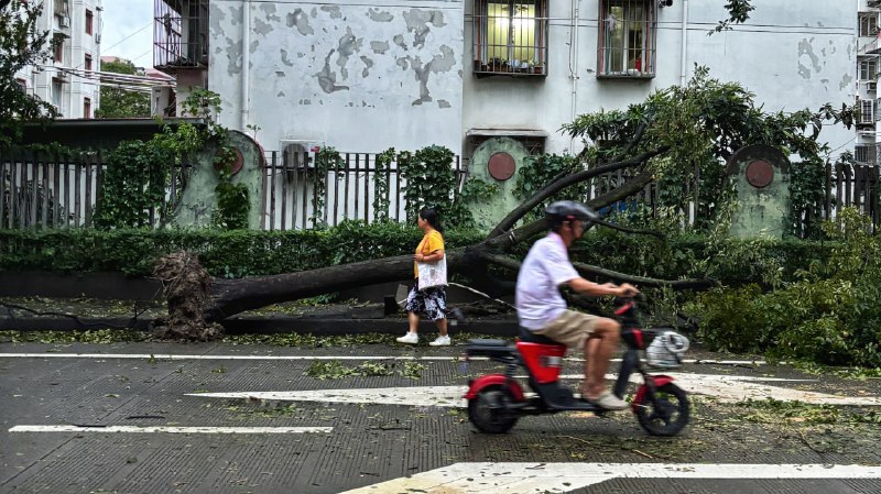 台风「贝碧嘉」过境台风「贝碧嘉」过境