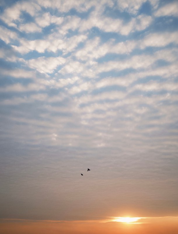 故乡的云故乡的云