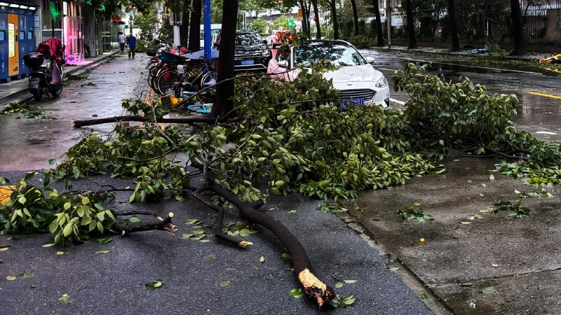 台风「贝碧嘉」过境台风「贝碧嘉」过境